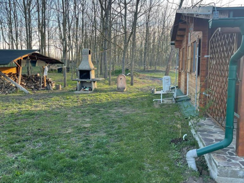 INVESTIČNÁ PONUKA - Orechový sad s rybníkom na lov rýb - Východ SK