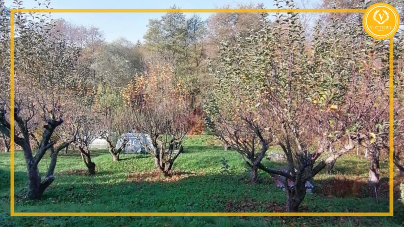 ZNÍŽENÁ CENA Predaj - záhrada s rozostavanou tehlovou chatou na okraji Starej Turej