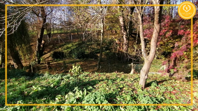 ZNÍŽENÁ CENA Predaj - záhrada s rozostavanou tehlovou chatou na okraji Starej Turej