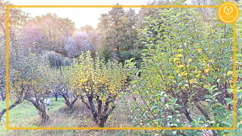 ZNÍŽENÁ CENA Predaj - záhrada s rozostavanou tehlovou chatou na okraji Starej Turej