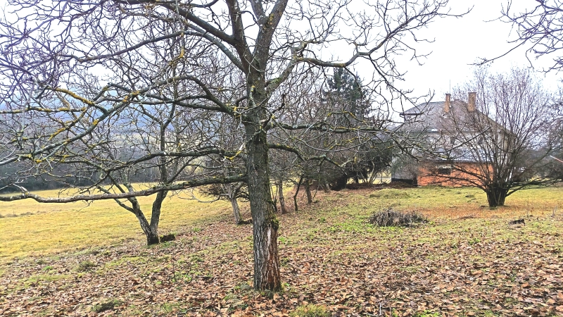 REZERVOVANÉ - Rodinný dom a pozemok  21087m2 Opava okres Veľký Krtíš 