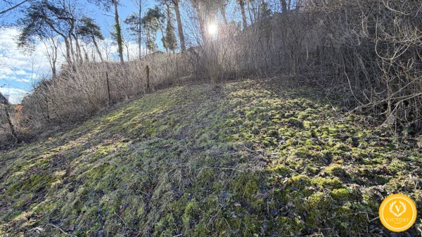 Slnečný pozemok*s panorámou hradu v srdci Divína