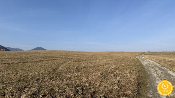 Investičný pozemok*v srdci Liptova – Pavčina Lehota (3 624 m²)