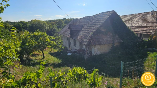 Rodinný dom s veľkým pozemkom