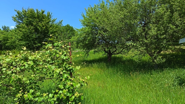 Slnečný pozemok 832 m² v tichej záhradkárskej osade – Kalinovo, časť Briežky