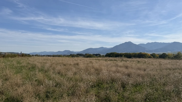 Rovinatá parcela 645 m² s pešou dostupnosťou k vode a kempu, Liptovský Trnovec